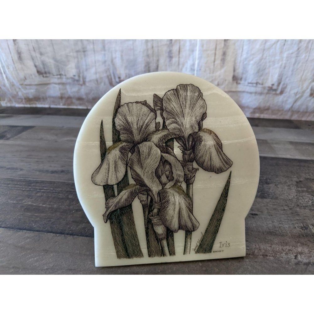 Janet vancil Iris decor picture unique